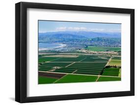 Aerial view of Oxnard farm fields in spring with Ventura City and Pacific Ocean in background, V...-null-Framed Photographic Print