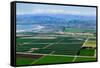 Aerial view of Oxnard farm fields in spring with Ventura City and Pacific Ocean in background, V...-null-Framed Stretched Canvas