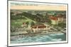 Aerial View of Palm Beach, Florida-null-Mounted Art Print