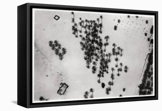 Aerial View of Palm Shadows in the Arabian Desert, from a Zeppelin, 1931-null-Framed Stretched Canvas