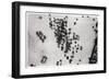 Aerial View of Palm Shadows in the Arabian Desert, from a Zeppelin, 1931-null-Framed Giclee Print