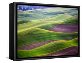 Aerial view of Palouse Region-Terry Eggers-Framed Stretched Canvas