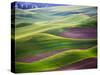 Aerial view of Palouse Region-Terry Eggers-Stretched Canvas