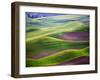 Aerial view of Palouse Region-Terry Eggers-Framed Photographic Print