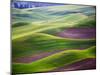 Aerial view of Palouse Region-Terry Eggers-Mounted Photographic Print