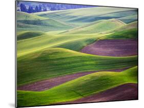 Aerial view of Palouse Region-Terry Eggers-Mounted Photographic Print