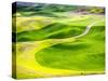 Aerial view of Palouse Region-Terry Eggers-Stretched Canvas