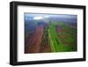 Aerial view of parallel bars at Marismas Nacionales, Mexico-Alejandro Prieto-Framed Photographic Print