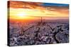 Aerial View of Paris at Sunset-INTERPIXELS-Stretched Canvas