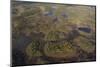 Aerial View of Peat Bog, Oulanka National Park, Finland, September 2008-Widstrand-Mounted Photographic Print