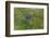 Aerial view of Pechora River Delta, Nenets Autonomous Okrug, Arctic, Russia, July 2017-Olga Kamenskaya-Framed Photographic Print