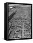 Aerial View of Pens Containing Beef Cattle at the Union Stockyards-null-Framed Stretched Canvas