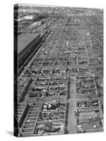 Aerial View of Pens Containing Beef Cattle at the Union Stockyards-null-Stretched Canvas