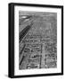 Aerial View of Pens Containing Beef Cattle at the Union Stockyards-null-Framed Photographic Print