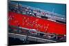 Aerial view of people running in Chicago Marathon, Chicago, Cook County, Illinois, USA-null-Mounted Photographic Print