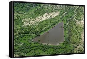 Aerial view of pool in wetland habitat, Okavango Delta, Botswana-Jean Hosking-Framed Stretched Canvas