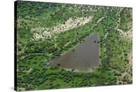 Aerial view of pool in wetland habitat, Okavango Delta, Botswana-Jean Hosking-Stretched Canvas