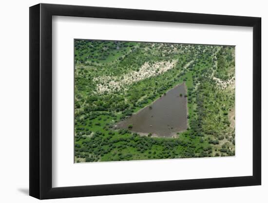 Aerial view of pool in wetland habitat, Okavango Delta, Botswana-Jean Hosking-Framed Photographic Print