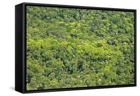 Aerial View of Pristine Rainforest Canopy, Guyana, South America-Mick Baines & Maren Reichelt-Framed Stretched Canvas