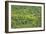 Aerial View of Pristine Rainforest Canopy, Guyana, South America-Mick Baines & Maren Reichelt-Framed Photographic Print