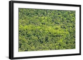 Aerial View of Pristine Rainforest Canopy, Guyana, South America-Mick Baines & Maren Reichelt-Framed Photographic Print