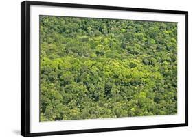 Aerial View of Pristine Rainforest Canopy, Guyana, South America-Mick Baines & Maren Reichelt-Framed Photographic Print