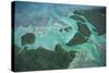 Aerial View of Red Mangrove (Rhizophora Mangle) Coastal Lagoon-Claudio Contreras-Stretched Canvas