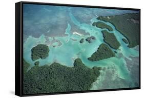 Aerial View of Red Mangrove (Rhizophora Mangle) Coastal Lagoon-Claudio Contreras-Framed Stretched Canvas