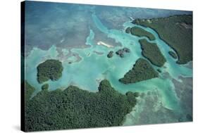 Aerial View of Red Mangrove (Rhizophora Mangle) Coastal Lagoon-Claudio Contreras-Stretched Canvas