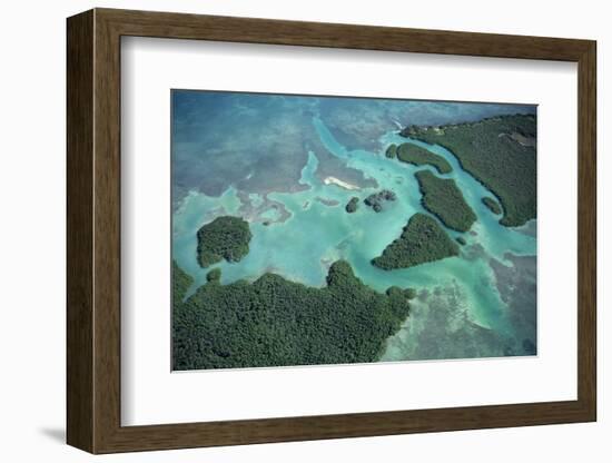 Aerial View of Red Mangrove (Rhizophora Mangle) Coastal Lagoon-Claudio Contreras-Framed Photographic Print