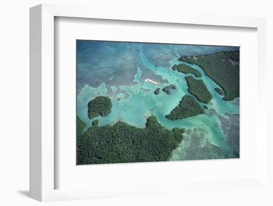 Aerial View of Red Mangrove (Rhizophora Mangle) Coastal Lagoon-Claudio Contreras-Framed Photographic Print