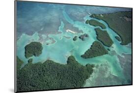 Aerial View of Red Mangrove (Rhizophora Mangle) Coastal Lagoon-Claudio Contreras-Mounted Photographic Print