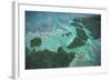 Aerial View of Red Mangrove (Rhizophora Mangle) Coastal Lagoon-Claudio Contreras-Framed Photographic Print