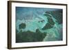 Aerial View of Red Mangrove (Rhizophora Mangle) Coastal Lagoon-Claudio Contreras-Framed Photographic Print