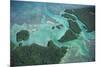 Aerial View of Red Mangrove (Rhizophora Mangle) Coastal Lagoon-Claudio Contreras-Mounted Photographic Print