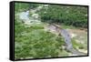 Aerial view of river, African Elephants (Loxodonta africana) and tourist lodge, Botswana-Jean Hosking-Framed Stretched Canvas