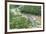 Aerial view of river, African Elephants (Loxodonta africana) and tourist lodge, Botswana-Jean Hosking-Framed Photographic Print