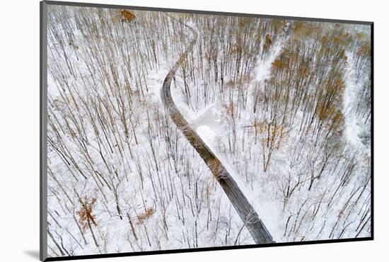 Aerial view of road in forest in winter, Marion Co., Illinois, USA-Panoramic Images-Mounted Photographic Print