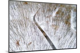 Aerial view of road in forest in winter, Marion Co., Illinois, USA-Panoramic Images-Mounted Photographic Print