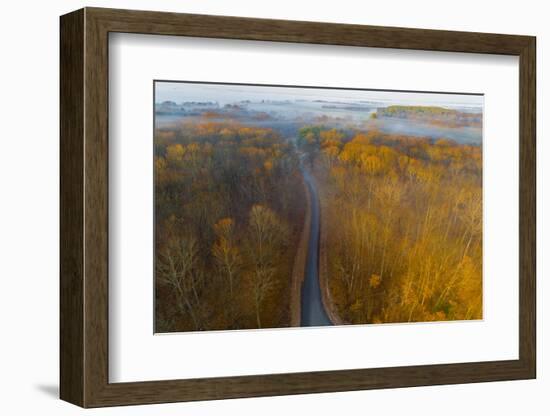 Aerial view of road in forest, Stephen A. Forbes State Park, Marion Co., Illinois, USA-Panoramic Images-Framed Photographic Print