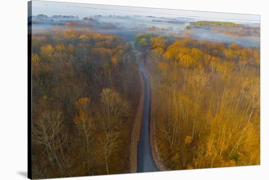 Aerial view of road in forest, Stephen A. Forbes State Park, Marion Co., Illinois, USA-Panoramic Images-Stretched Canvas