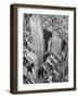 Aerial View of Rockefeller Plaza in Midtown Manhattan-Bernard Hoffman-Framed Photographic Print