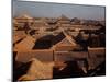 Aerial View of Rooftops in the Forbidden City-Dmitri Kessel-Mounted Photographic Print