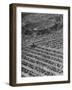 Aerial View of Rose Bowl Showing Thousands of Cars Parked around It-Loomis Dean-Framed Photographic Print