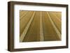 Aerial view of rows of wheat straw before baling, Marion County, Illinois-Richard & Susan Day-Framed Photographic Print