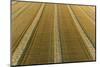 Aerial view of rows of wheat straw before baling, Marion County, Illinois-Richard & Susan Day-Mounted Photographic Print