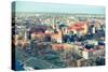 Aerial View of Royal Wawel Castle with Park in Krakow, Poland (Cross Process Style)-De Visu-Stretched Canvas