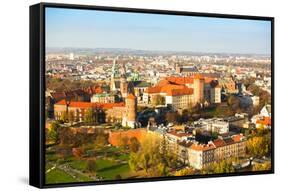 Aerial View of Royal Wawel Castle with Park in Krakow, Poland.-De Visu-Framed Stretched Canvas