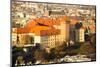 Aerial View of Royal Wawel Castle with Park in Krakow, Poland.-De Visu-Mounted Photographic Print