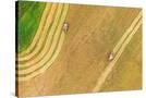Stretched Canvas